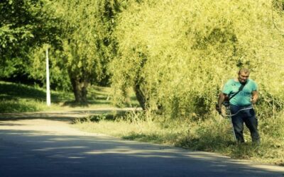 Città Metropolitana di Messina, obblighi a proprietari fondi e terreni privati confinanti con S.P. e S.P. agricole nei 108 Comuni: “Violazioni soggette al pagamento delle sanzioni”