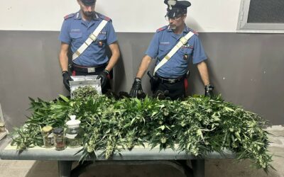 Una serra costruita in casa per produrre marijuana, sequestrate 15 piante di cannabis: 49enne arrestato