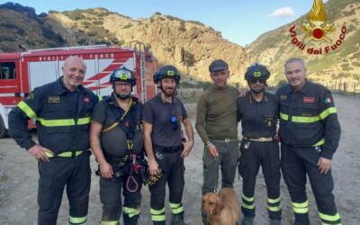 Rodì Milici, salvato cane sperduto in un costone tortuoso tra le colline