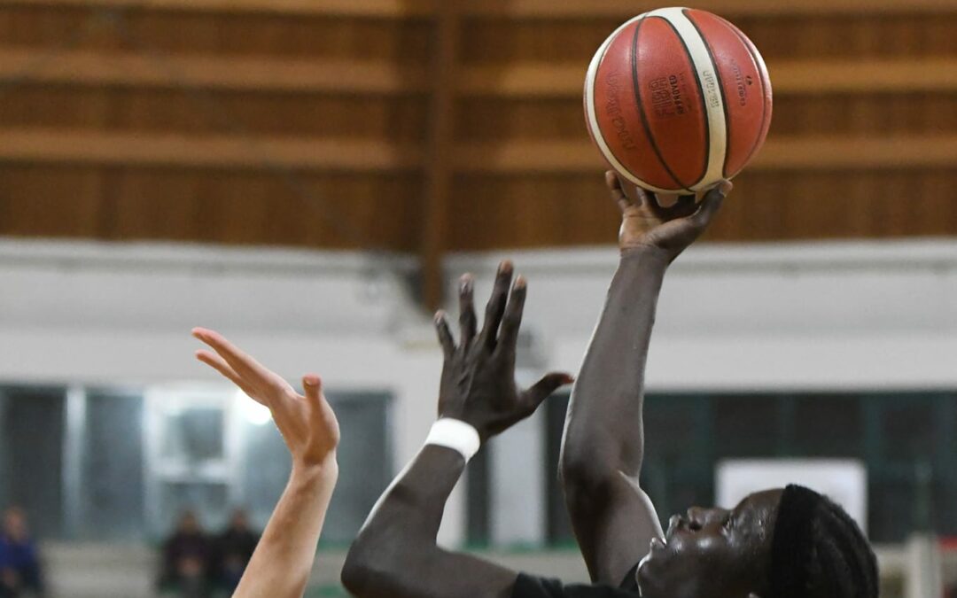 Basket. La Svincolati Milazzo supera anche Rende e consolida secondo posto